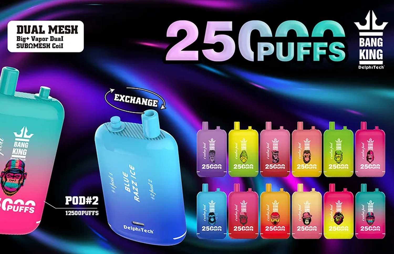 Bang King 25000 2.5万パフ デュアルポッドエアフロー調整大容量VAPE 10本セット